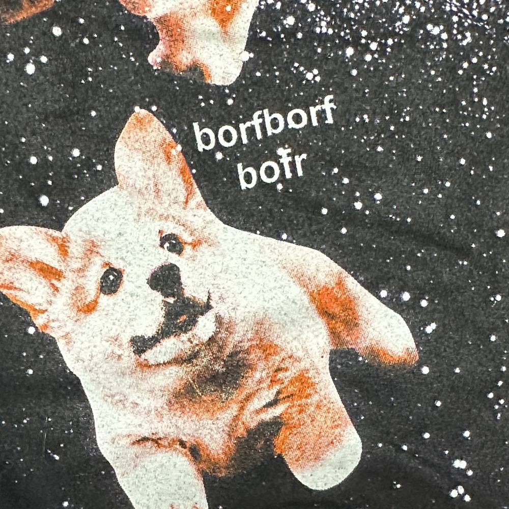 Black Matter Black Tee with Corgi Galaxy Print - Picture 7 of 7